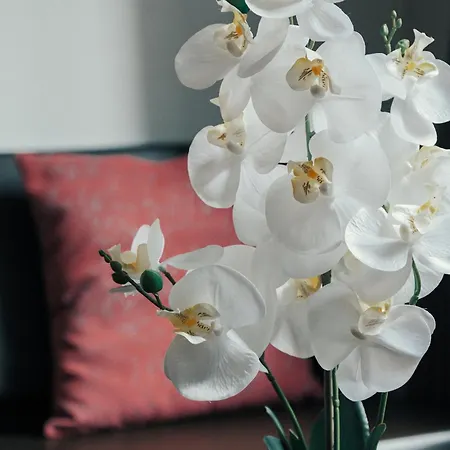 Arte Hotel 4*